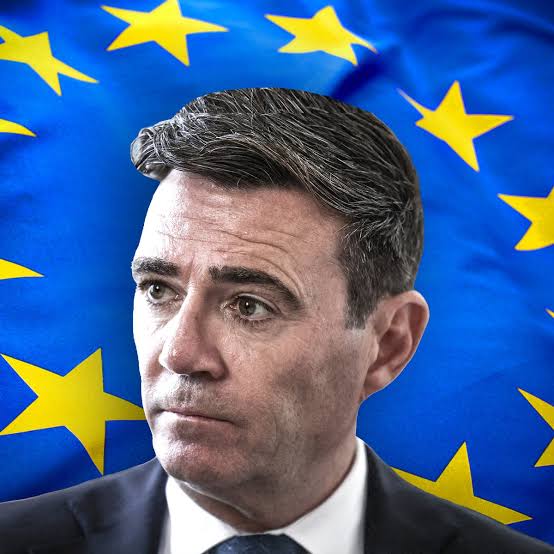 Angela Rayner: UK should revisit its relationship with the EU