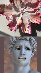 Wael Abdullah (@waelabdullah.bv2)