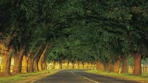 Bacchus marsh from mapcarta, the open map. Bacchus Marsh Victoria Travel Guide And Things To Do