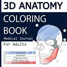 8.5x11 pdf coloring page of a human heart! 29 Best Anatomy Coloring Books Of All Time Bookauthority