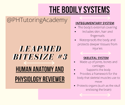 It will also involve your basic math skills that you've learned from elementary days like fundamental. Ph Tutoring Academy Posts Facebook
