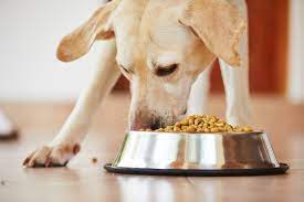 3.1 taste of the wild grain free high protein meat recipe; Fda Names 16 Brands Of Dog Food Linked To Canine Heart Disease