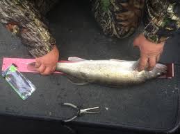 Fall Hog Haul Results.