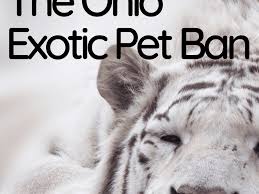 See reviews, photos, directions, phone numbers and more for we love pets locations in zanesville, oh. The Ohio Exotic Pet Ban What Animals Are Now Illegal As Pets Pethelpful