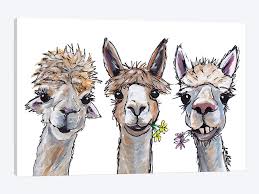 Alpacas Trio Ii Canvas Print By Hippie Hound Studios Icanvas Alpaca Drawing Animal Art Animal Paintings