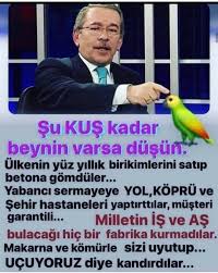 Ersan Bayram Adli Kullanicinin Ersan Panosundaki Pin Gercekler Sehir Bilgi