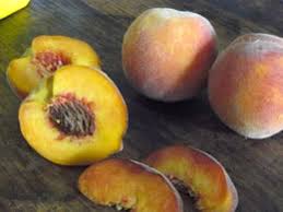 Check spelling or type a new query. Dwarf Fruit Tree Catalogs Fruit Trees