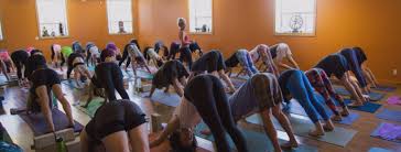 Downward Dog Yoga Centre Reviews Facebook