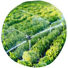 1 3 inch cap 1 1 ½ inch coupling ; Nortembio Agro Organic Ph Reducer 5l Universal Use Descaler For Irrigation Systems Better Flavour And Aroma To Your Crops Amazon Co Uk Garden Outdoors