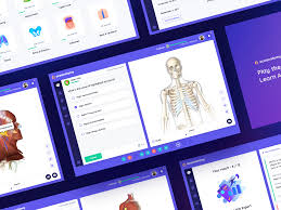 Ace Anatomy Quiz App Anatomy App App Design