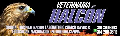 Veterinaria El Halcon
