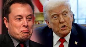 Virginia y su MEDIDA DEMÓCRATA contra Elon Musk y Trump en las próximas  elecciones estatales de noviembre