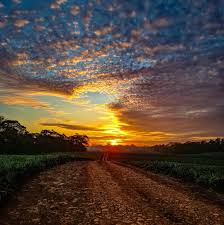 𝗙𝗢𝗧𝗢 𝗗𝗘𝗟 𝗗𝗜́𝗔 Así amaneció hoy, qué les parece tal belleza...  Bella Vista, Cutris, San Carlos… Haciendo honor al nombre del pueblo…!!!  📷: Norlan Briceño.