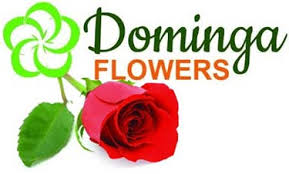 When you select driftwood garden center & florist to send flowers to naples or any other destination, your order will be handled professionally and with the utmost care by expert florists in naples. Naples Florist Naples Fl Flower Shop Dominga S Flowers
