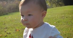 little white house blog: Who Wants S'mores?!