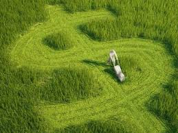 Fertilizing lawns with this and similar products will not only. Scotts Fertilizer Vs Vigoro Fertilizer Which Is Best Paperblog
