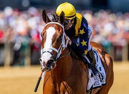 Horse racing nation free past performances. Out Free Past Performances For Horse Racing Nation Facebook