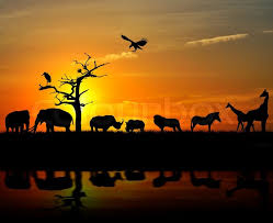 We did not find results for: African Wild Animals Silhouettes Stock Image Colourbox