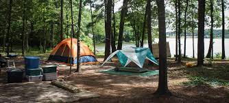 7 Texas State Parks To Visit State Parks Acadia National Park Camping Camping In Texas