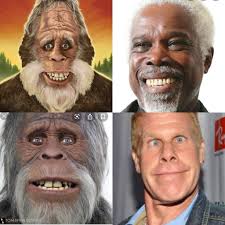 Dan Willette (@danzoman)