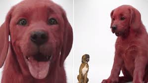 This learning activity is part of the clifford the big red dog series. Twitter Cowers In Fear Before Live Action Clifford The Big Red Dog Know Your Meme
