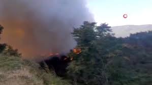Türkiyede ormanlar ve orman yangınları ile ilğili yapılanların yeterliliğini sorguluyorsunuz. Bursa Da Orman Yangini Son Dakika