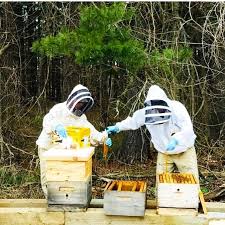 About Us — Steve's Bees