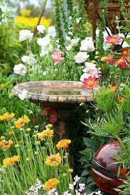 Pin By The Garden Diva On Beautiful Flowers Things For The Yard Beautiful Flowers Flower Garden Garden Inspiration