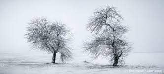 Nature Photography Landscape Photography Fine Art Wall Art Minimalist M Landscape Photography Nature Photography Prints Art Fine Art Landscape Photography