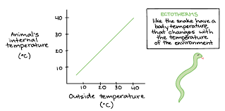 Endotherms Ectotherms Article Khan Academy