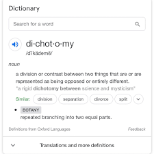 These two parts could be equal, contradictory, or two opposing forces. Bebe Rexha On Twitter This Is Me A Woman In Dichotomy