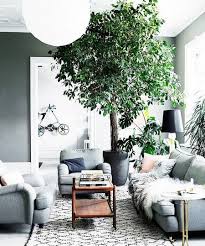 Almost any mature tree can be used for a treehouse and it doesn't have to be expensive, you just need some good ideas and the motivation to make it. The Best Indoor Trees