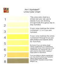 2019 Urine Color Chart Template Fillable Printable Pdf