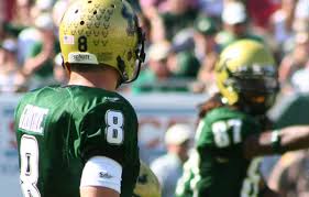 Usf Unveils 2009 Prospectus Post Spring Depth Chart