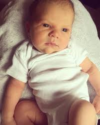 We would like you all to welcome our newest team member, Dax! We have been  enjoying the past few weeks soaking in this time with our family of four  :)! Dax was