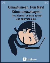 Buenas Noches Cultura Mapuche Educacion Y Cultura Educacion Intercultural