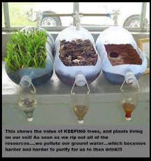 The response of wue at the leaf level is directly related to the. Science Experiment On The Relationship Between Plants Trees And Clean Water Science Lessons Teaching Science Science For Kids