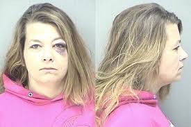 Lenawee County Police Reporter