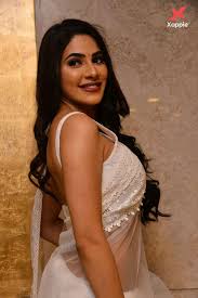 Myflixer is a free movies streaming site with zero ads. Nikki Tamboli Latest Photos At Kanchana 3 Pre Release Event Photos Xappie