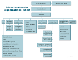 Organizational Flow Chart