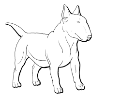 1551 x 2093 gif 88 кб. Pin By David Isaks On Dave Nothing But Bullies Mini Bull Terriers Bull Terrier Tattoo English Bull Terriers