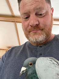 Does anyone know who owns the racing pigeons near Cock Lane? (Blue tag