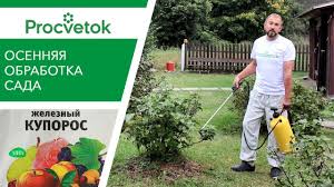 опрыскивание деревьев весной по фазам от болезней и вредителей Srochno Obrabotajte Sad Ot Boleznej I Vreditelej Iskorenyayushaya Obrabotka Sada Osenyu Youtube Sad Sadovye Vrediteli Ogorod