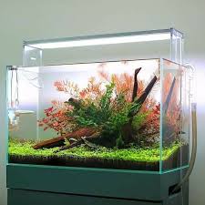 Cool Tank Colour Combo Aquascape Saltwater Aquarium Setup