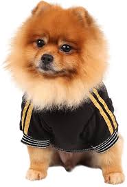 Vuoi informazioni su vestiti per cani piccoli? Abbigliamento Per Cani Di Taglia Piccola Primavera Estate Felpa Per Cani In Ciniglia Grigio Antracite