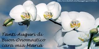 Tanti Auguri Di Buon Onomastico Cara Mia Maria Fiori Orchidea Auguri Di Nozze Buon Onomastico