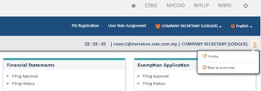 Submission of audited account to ssm. Https Www Ssm Com My Pages Services Other Services Mbrs 20pdf Userguidembrsportal External V1 0 Pdf