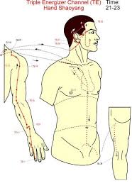 Gallbladder Triple Burner Meridian Acupressure