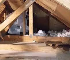 Element home solutions is san mateo's premier choice for home care service. Attic Cleanup And Decontamination Services In San Mateo Ca