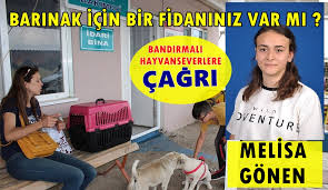 Bandirma Gercek Gazetesi Barinak Icin Bir Fidaniniz Var Mi Melisa Gonen